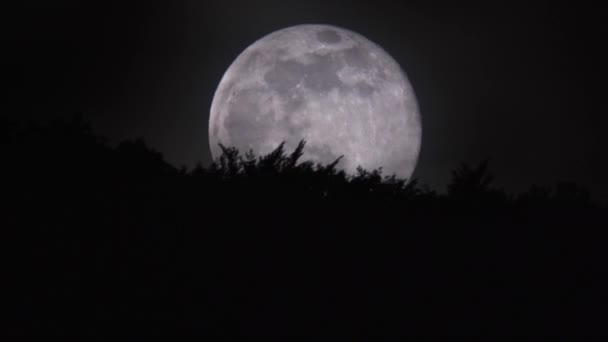 Luna Cielo Nocturno — Vídeos de Stock