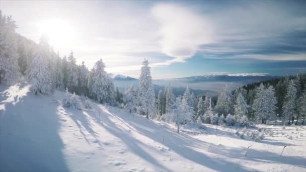 Snötäckta Berg Vintern — Stockvideo