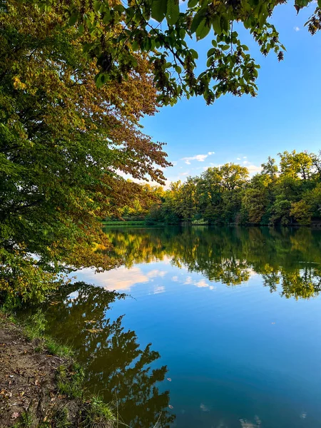 reflection in the lake. autumn landscape with lake and trees.