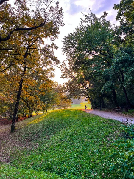 Renkli sonbahar parkı, güzel doğa manzarası.