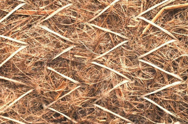 Kuru Hasır doku arkaplanı