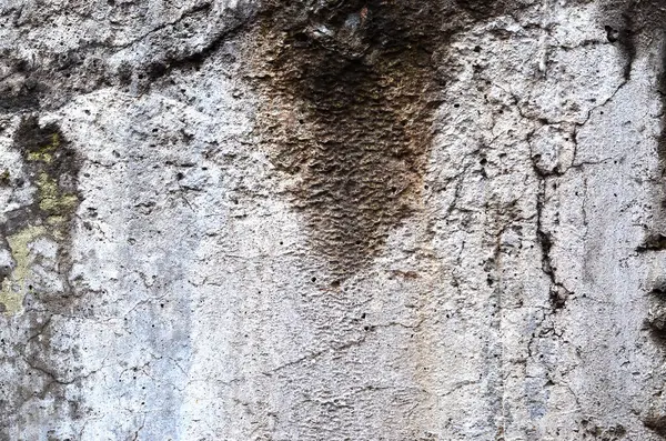 eski beton duvar arkaplan dokusu