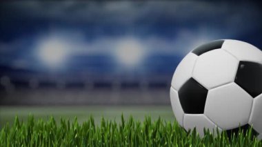 futbol topu çimlerin üzerinde