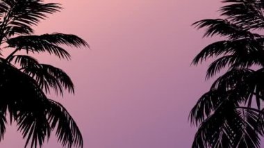 Gün batımında palmiye ağaçları.