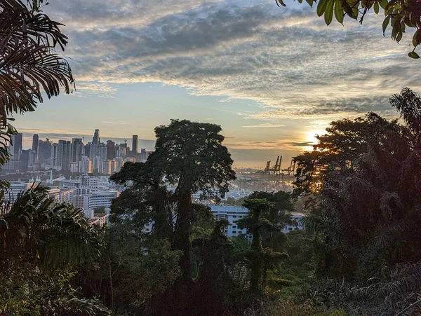 Singapur 'un doğuşu Faber Dağı' nın manzarasından, ufuk çizgisi arka planda.