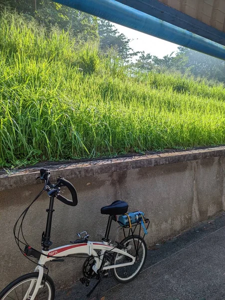 Fahrrad Neben Gras Abgestellt — Stockfoto