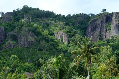 rock formations in the ancient Nglanggeran volcano that were formed millions of years ago. Overgrown by green trees typical of the tropics. High ancient black stone towering. Gunung api purba.