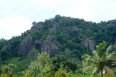 rock formations in the ancient Nglanggeran volcano that were formed millions of years ago. Overgrown by green trees typical of the tropics. High ancient black stone towering. Gunung api purba.