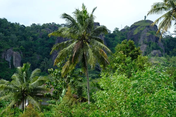 rock formations in the ancient Nglanggeran volcano that were formed millions of years ago. Overgrown by green trees typical of the tropics. High ancient black stone towering. Gunung api purba.
