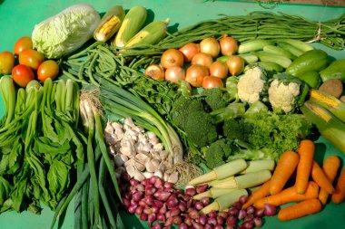 different types of vegetables on green background 