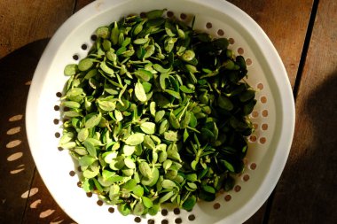 Tencerede yeşil yapraklar