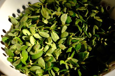 Tencerede yeşil yapraklar