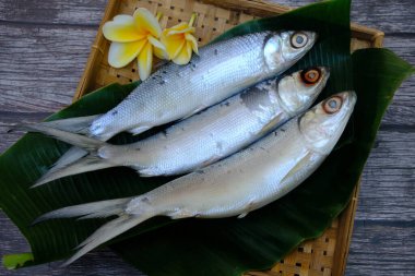 Tahta masadaki taze balık