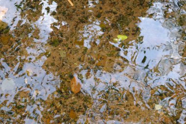 The Surface of Clear Water