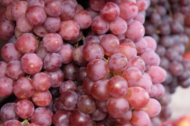 close-up of a ripe red grapes