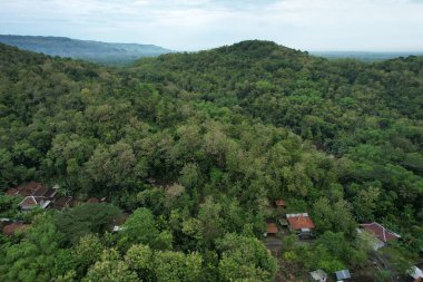 Sabahleyin dağların manzarası