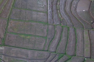 aerial view of terraced green rice fields in the mountains