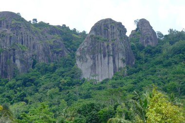 Rock formations in the ancient Nglanggeran volcano overgrown by green trees typical of the tropics. 