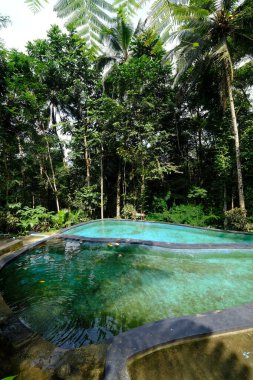 beautiful tropical landscape with green trees and artificial pond