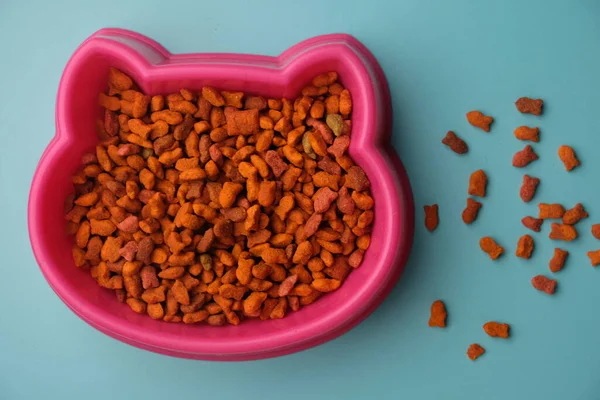 青い背景にピンク色の猫料理の器トップビュー — ストック写真