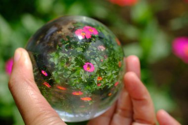 Hand holding a lens ball with flower reflections