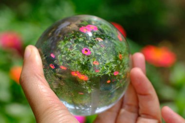 Close up of a hand holding a lens ball with flower reflections