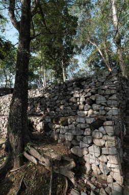 Şehir parkında ağaçlar ve taş duvar