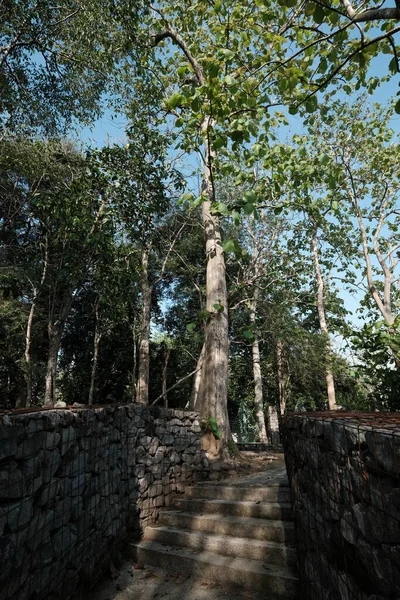 Bela Vista Parque Cidade Com Árvores Escadas — Fotografia de Stock