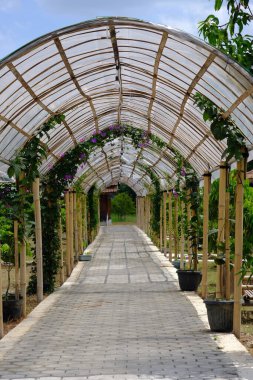 Şehrin güzel manzarası 