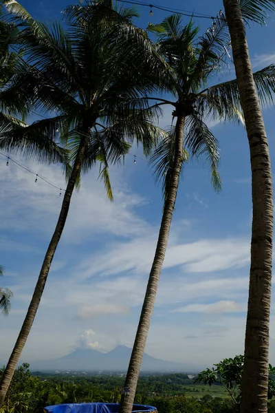 Прекрасный Вид Тропики Пальмы Горы Голубое Небо Облаками — стоковое фото