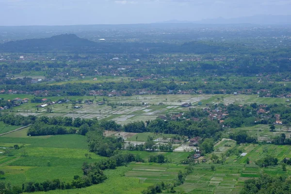Вид Воздуха Сельские Районы Рисовые Поля Жилые Районы — стоковое фото