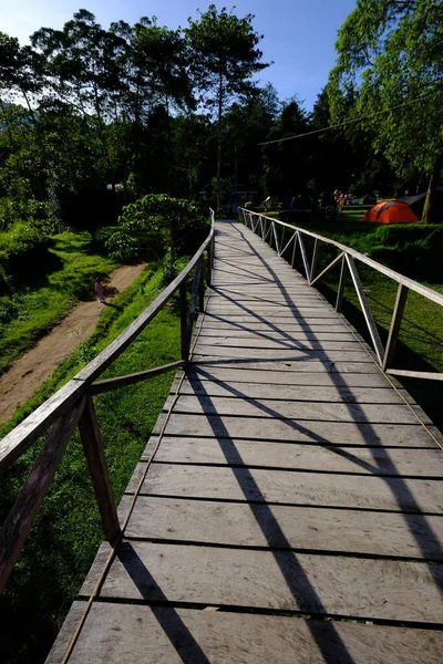 Wooden walkway leads to a forest. Wooden bridge in tropical plant.