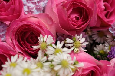 Güllerle, kasımpatılarla ve papatyalarla dolu çiçek demetlerini kapatın.