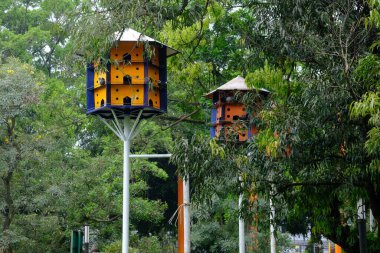 Malang, Endonezya. 28 Aralık 2022. Şehir parkındaki atmosfer ya da Alun-alun Malang. Şehir parkında güvercin yuvaları.