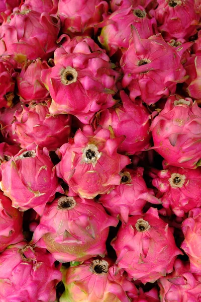 Pitaya veya pitahaya, birçok farklı kaktüs türünün yerel ürünüdür. Hylocereus polirhizus. Hylocereus costaricensis. Ejderha meyvesi yığını. İşte böyle..