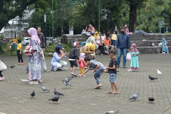 印度尼西亚马兰 2022年12月28日 城市公园或Alun Alun Malang的氛围 与野鸽玩耍的孩子 — 图库照片