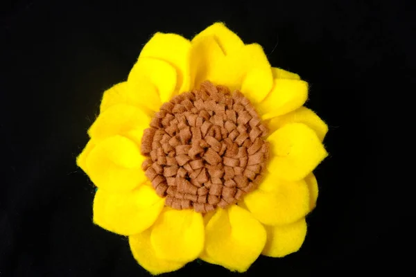yellow sunflower on a black background