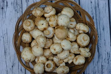 Bambu sepetinde şampiyon mantarlar