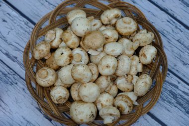 Bambu sepetinde şampiyon mantarlar