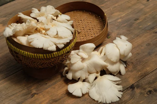 牡蛎菇 牡蛎菇 荨麻或珍珠牡蛎菇是一种常见的食用菌 牡蛎蘑菇在竹制的篮子里 Jamur Tiram — 图库照片