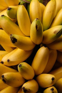 Lady Finger muzları Musa Acuminata 'nın diploid tarlalarıdır. Küçük, ince tenli ve tatlılar. Pisang emas. Bir avuç taze altın muz..