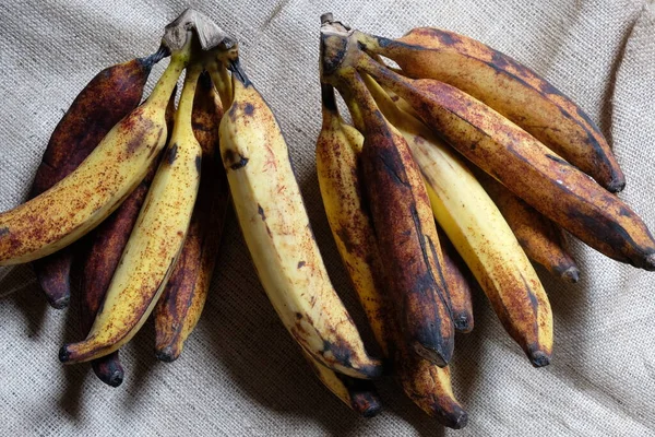 Pisang Tanduk Nebo Pisang Agung Jedním Populárních Banánových Kultivarů Indonésii — Stock fotografie