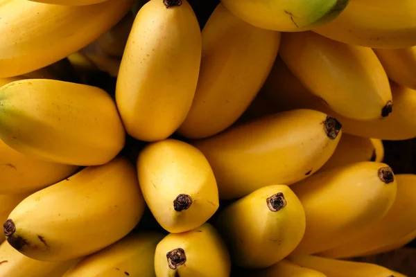 Banány Lady Finger Jsou Diploidní Kultivary Musa Acuminata Jsou Malé — Stock fotografie