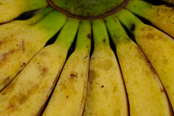 Lady Finger Bananen Zijn Diploïde Cultivars Van Musa Acuminata Zijn — Stockfoto