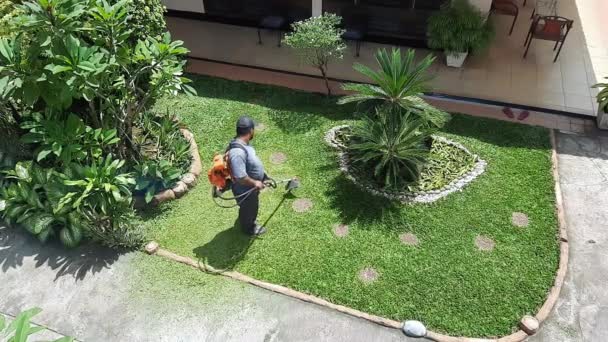 裏庭に芝生を刈る男の空中ビュー — ストック動画