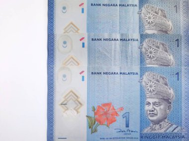 Malezya Ringgit parası. Bir Malezya ringgit.