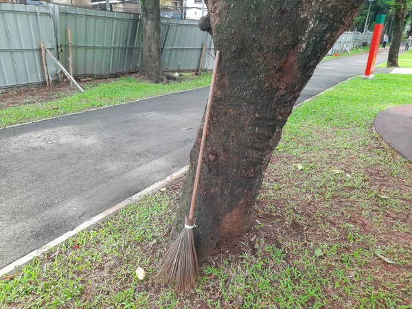 扫帚棍倚在公园的树干上 — 图库照片