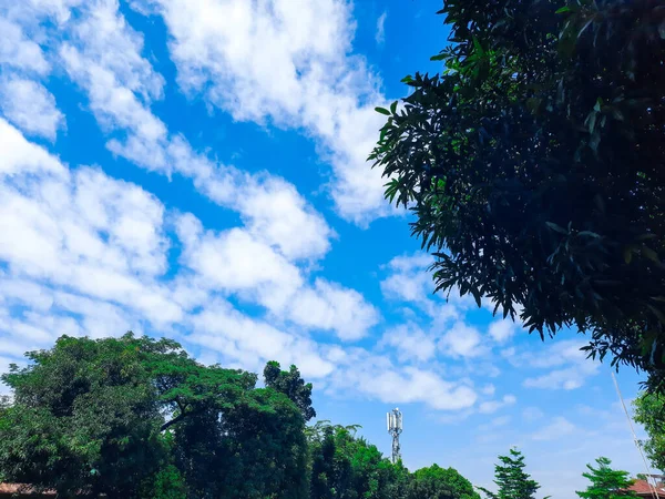 Прозоре Блакитне Небо Білі Хмари Над Деревами — стокове фото