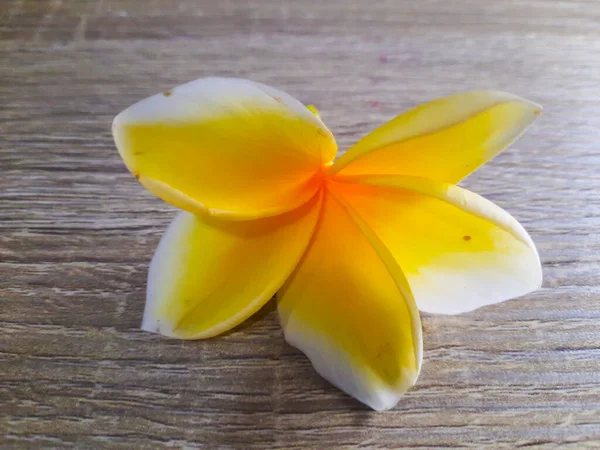 Stock image A yellow frangipani flower or plumeria on wood texture background