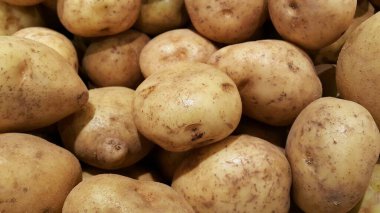 Patates yığını veya Solanum tüberosum